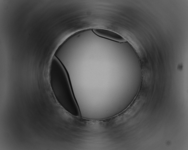 X0000102820956200809081128