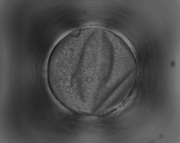 X0000102820957200809081128