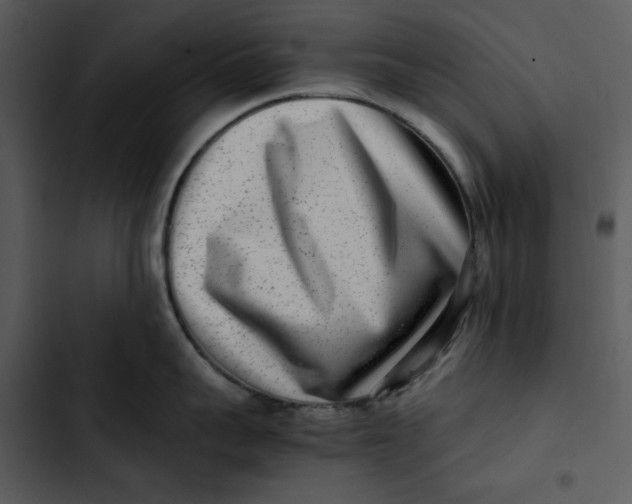 X0000102820959200809081128