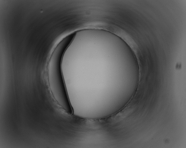 X0000102820960200809081128