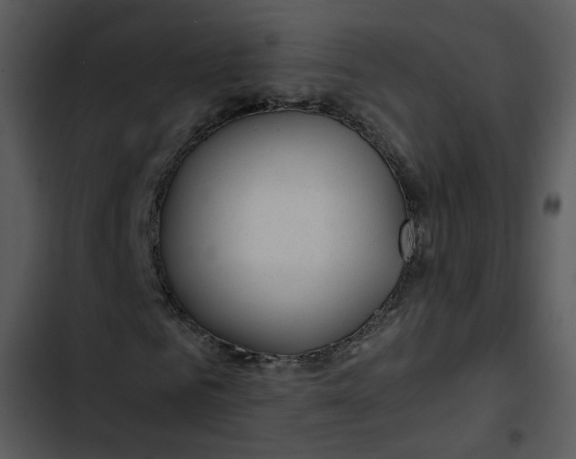 X0000102820961200809081127