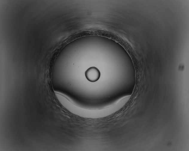 X0000102820965200809081127