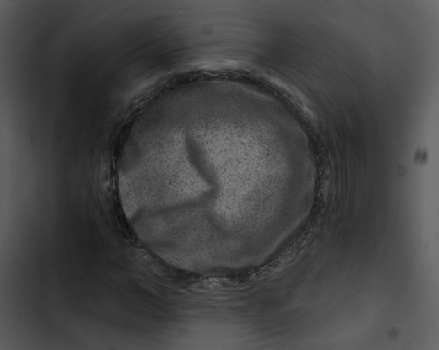 X0000102820966200809081127