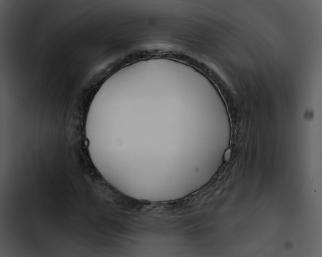 X0000102820967200809081127