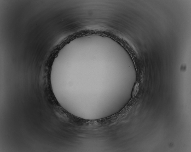 X0000102820968200809081127