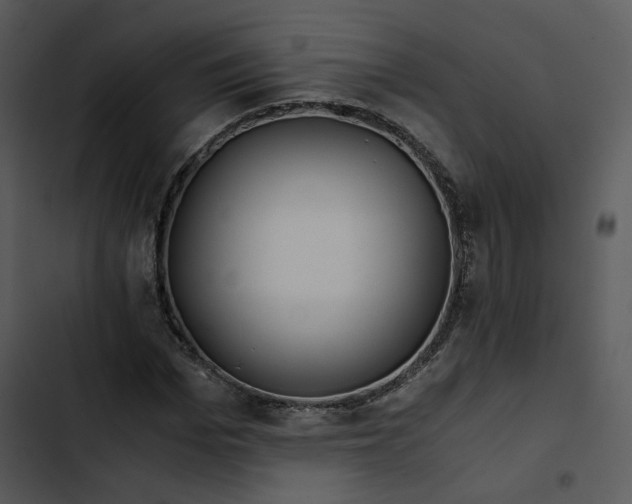 X0000102820969200809081127