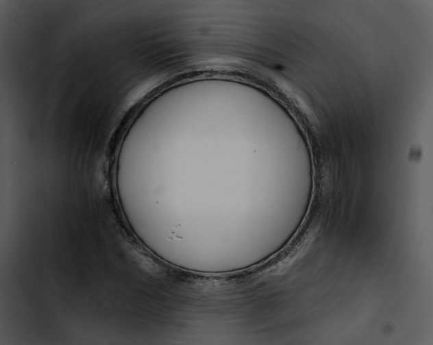 X0000102820970200809081127