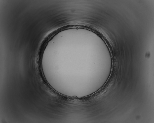 X0000102820971200809081127