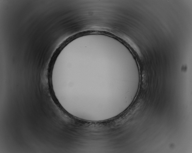 X0000102820972200809081127