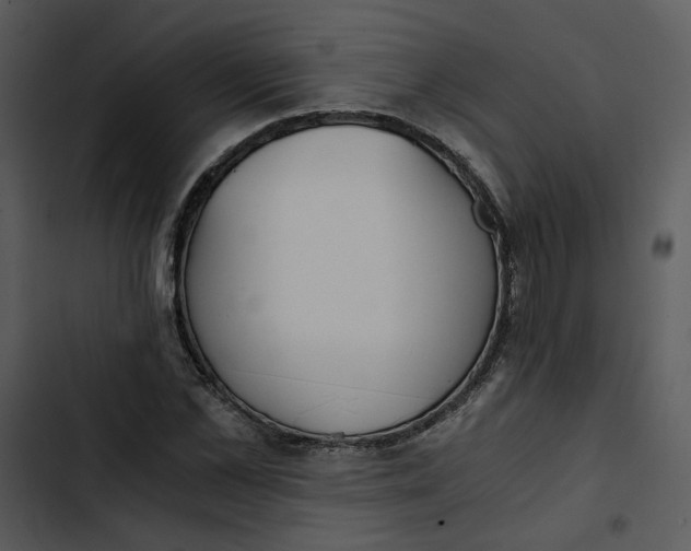 X0000102820973200809081127