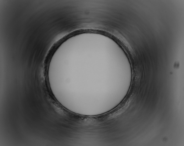 X0000102820974200809081127