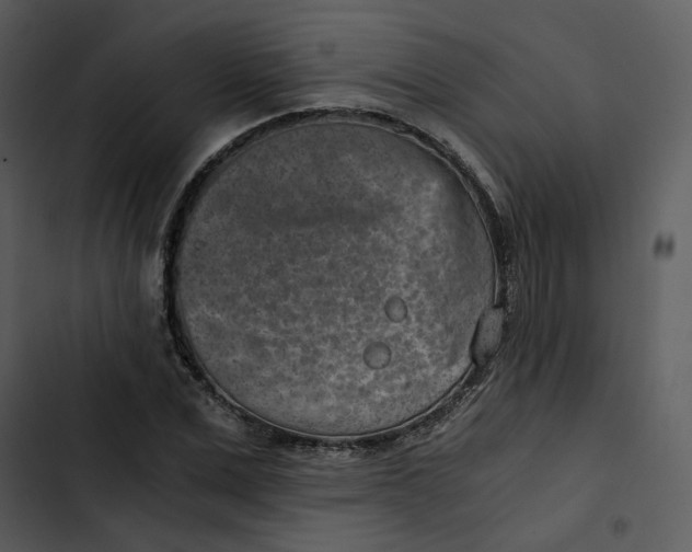 X0000102820975200809081127