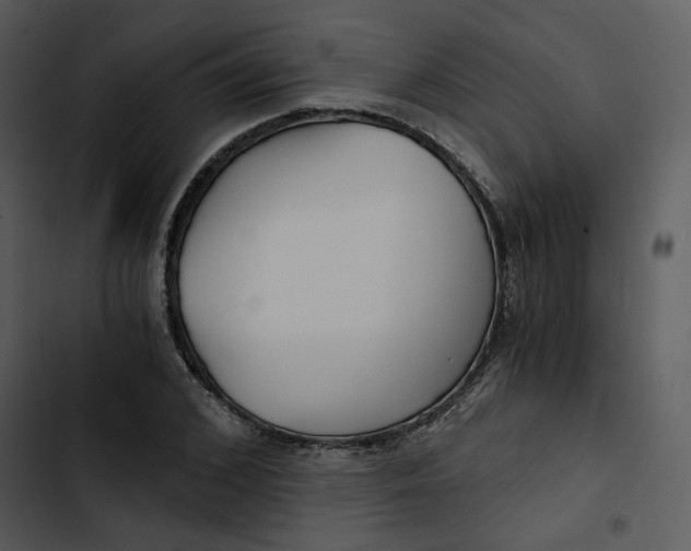 X0000102820976200809081127