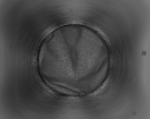 X0000102820977200809081127