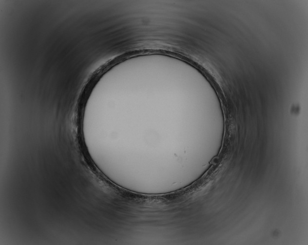 X0000102820979200809081127