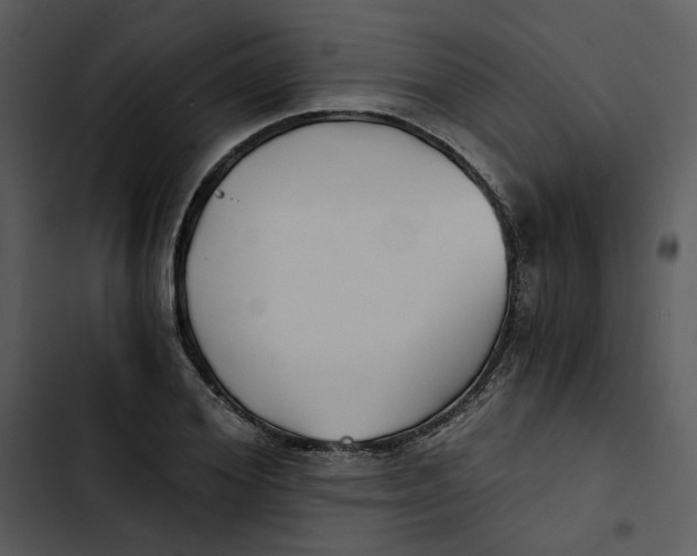 X0000102820980200809081127