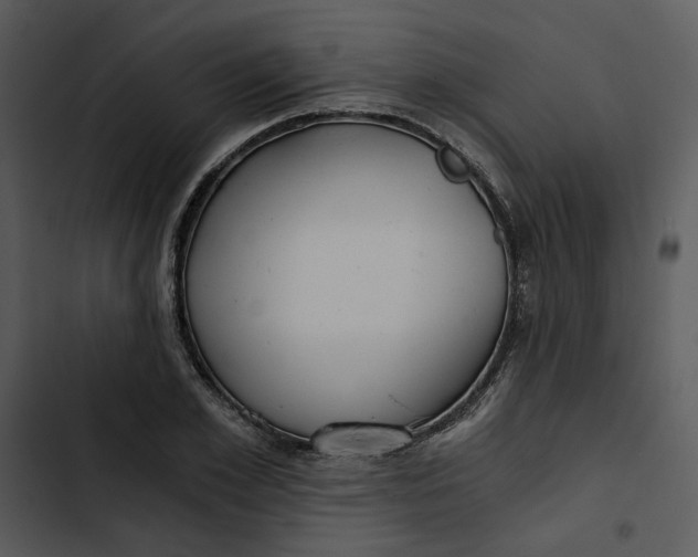 X0000102820981200809081127