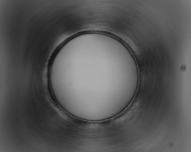 X0000102820982200809081127