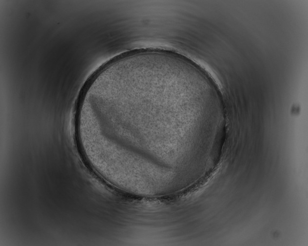 X0000102820983200809081127