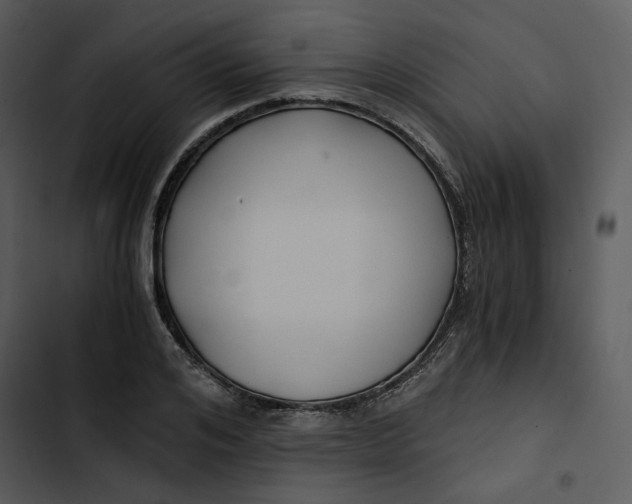 X0000102820984200809081127