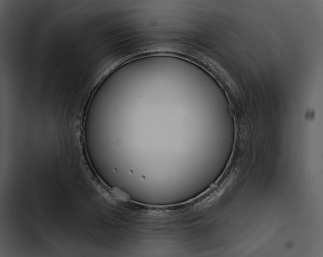 X0000102820985200809081127