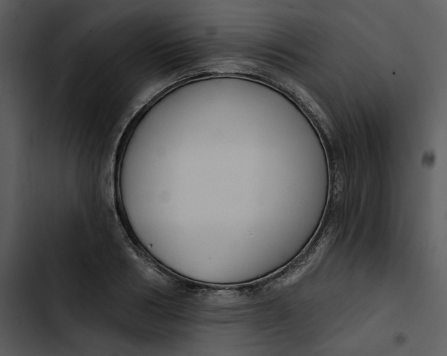 X0000102820986200809081127