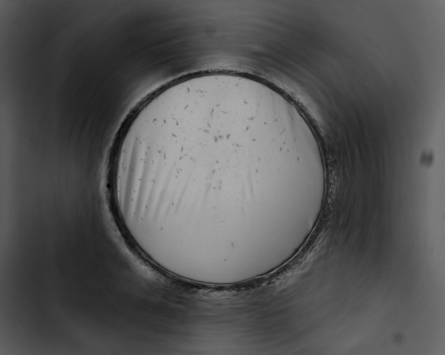 X0000102820991200809081127