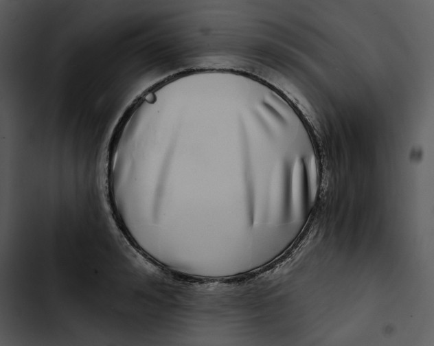 X0000102820992200809081127