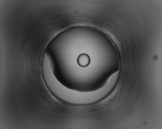 X0000102820993200809081127