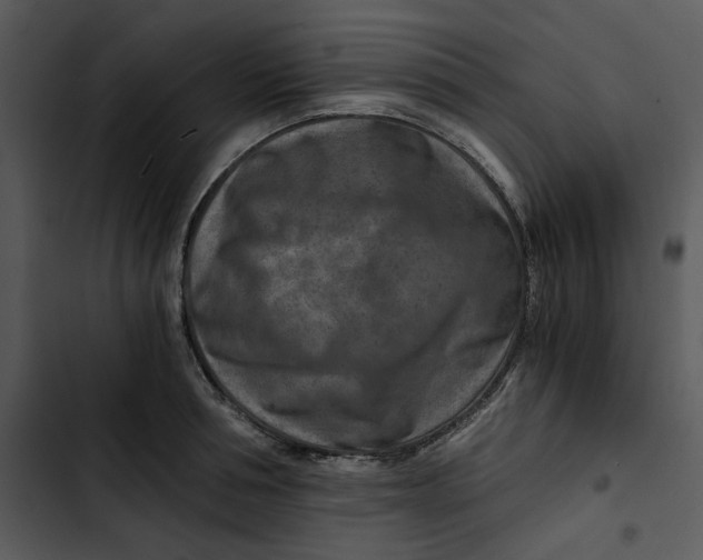 X0000102820994200809081127