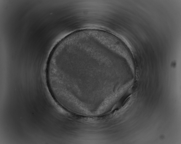 X0000102820995200809081127