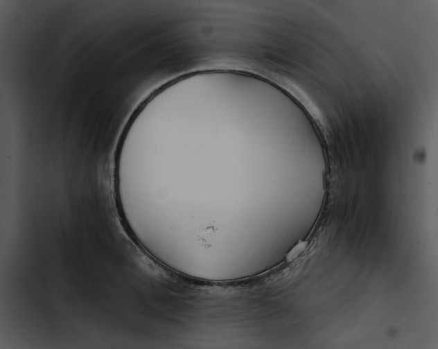 X0000102820996200809081127