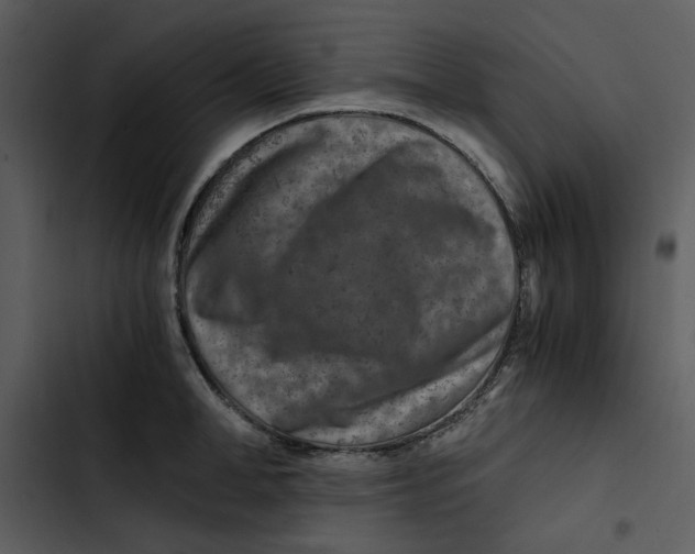 X0000102820998200809081127