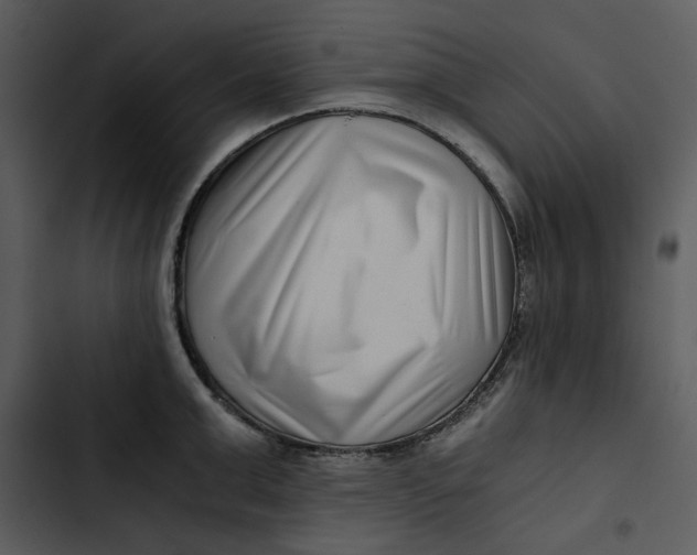 X0000102820999200809081127