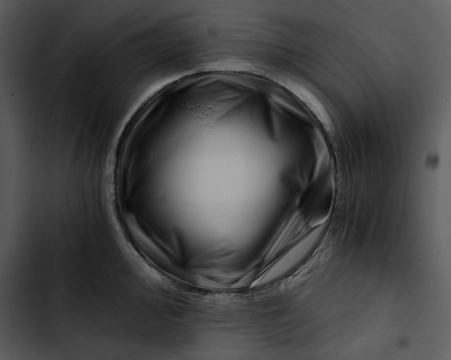 X0000102821000200809081127