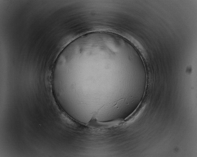 X0000102821001200809081127