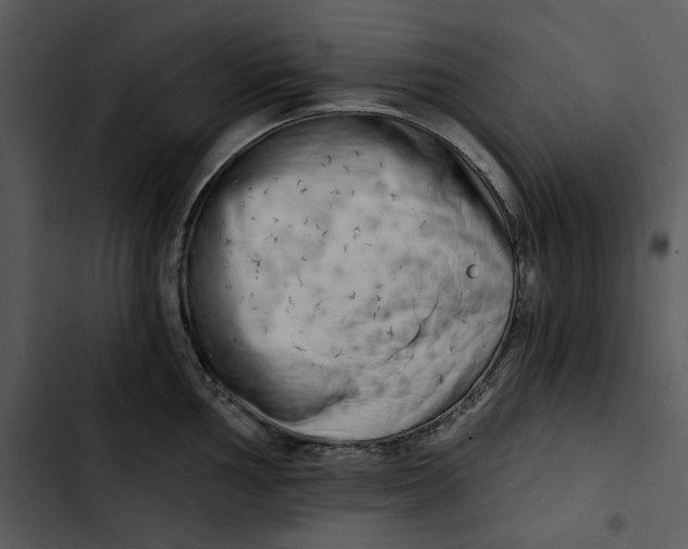 X0000102821002200809081127