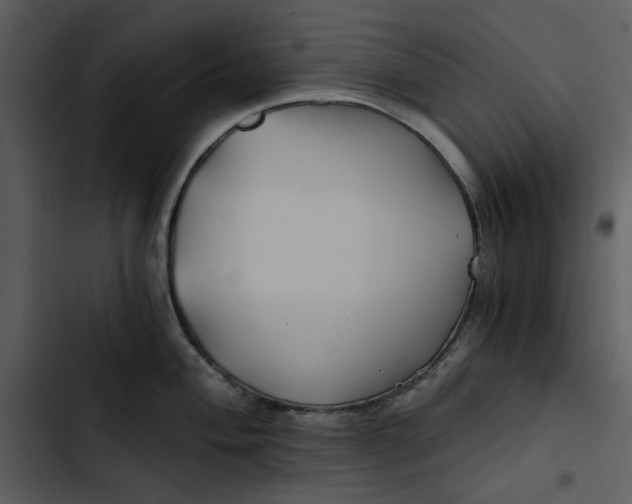 X0000102821004200809081126