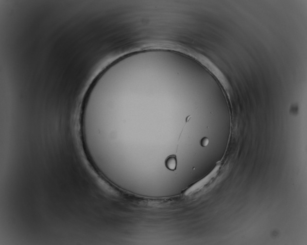 X0000102821005200809081126