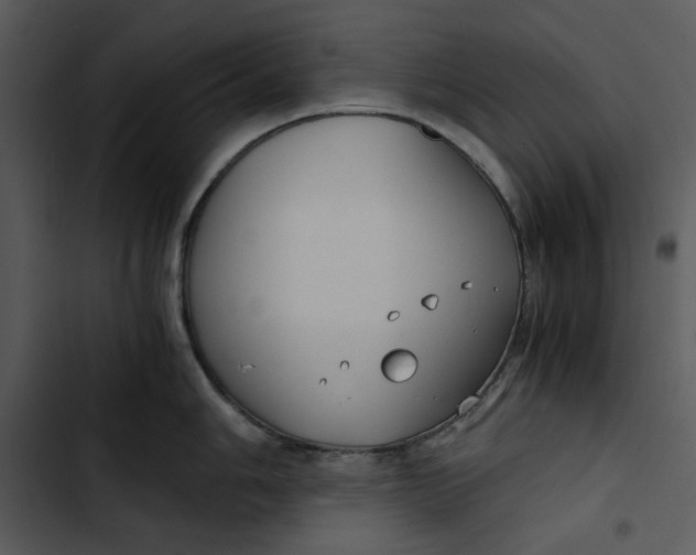 X0000102821006200809081126