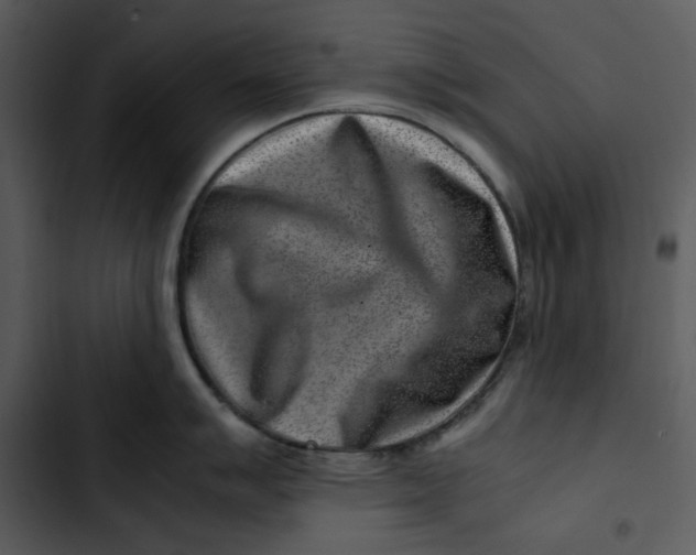 X0000102821007200809081126