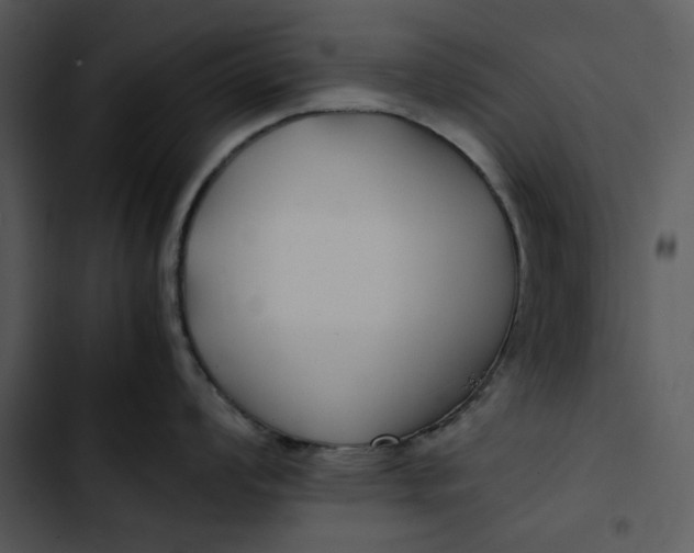 X0000102821008200809081126