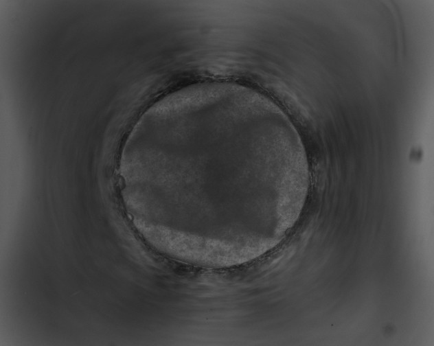 X0000102821009200809081126