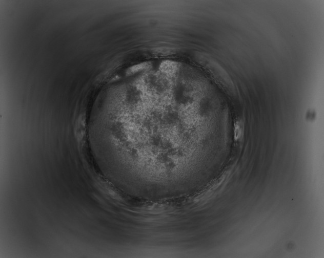 X0000102821011200809081126