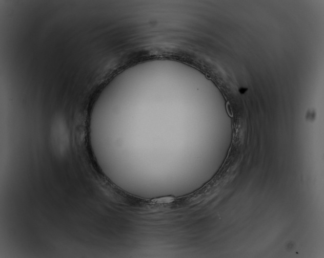 X0000102821012200809081126