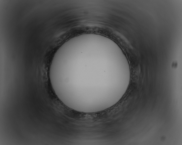 X0000102821013200809081126