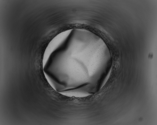 X0000102821014200809081126