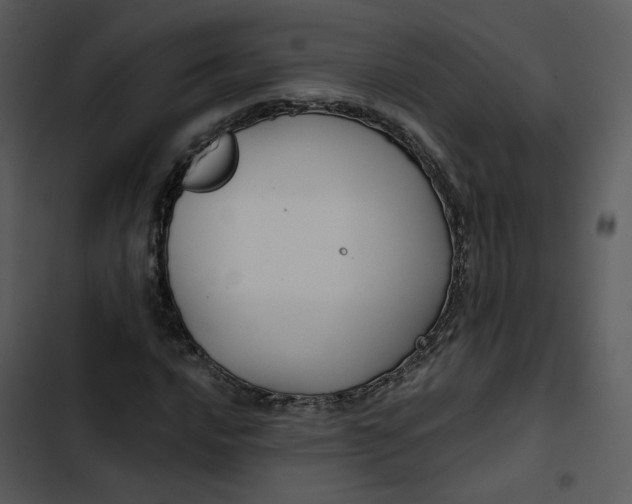 X0000102821016200809081126