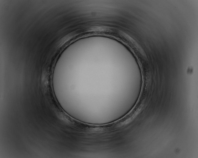 X0000102821017200809081126