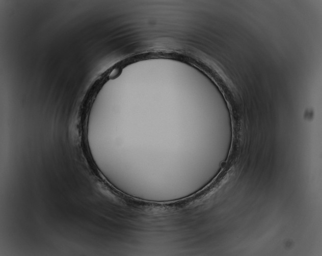 X0000102821018200809081126